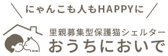 保護猫シェルター おうちにおいで